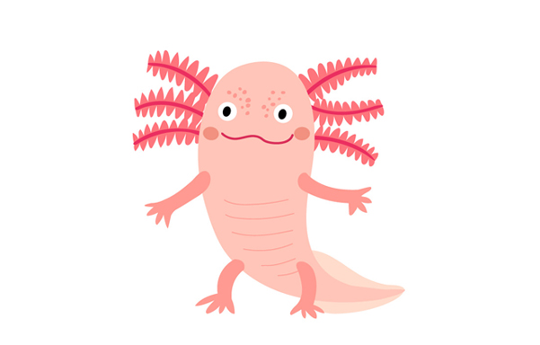 AxolotlTv: monstruo con sonrisa mexicana