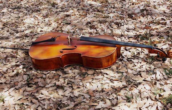 Violonchelo: dos miradas