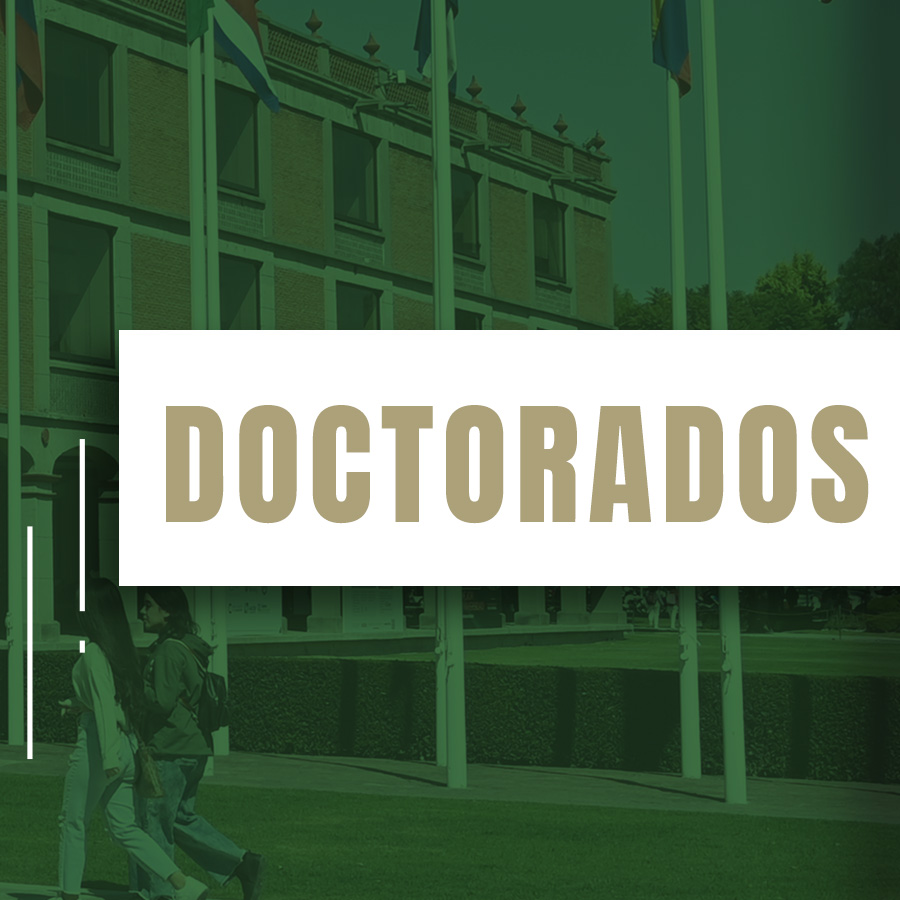 Banner Doctorados móvil - UDLAP