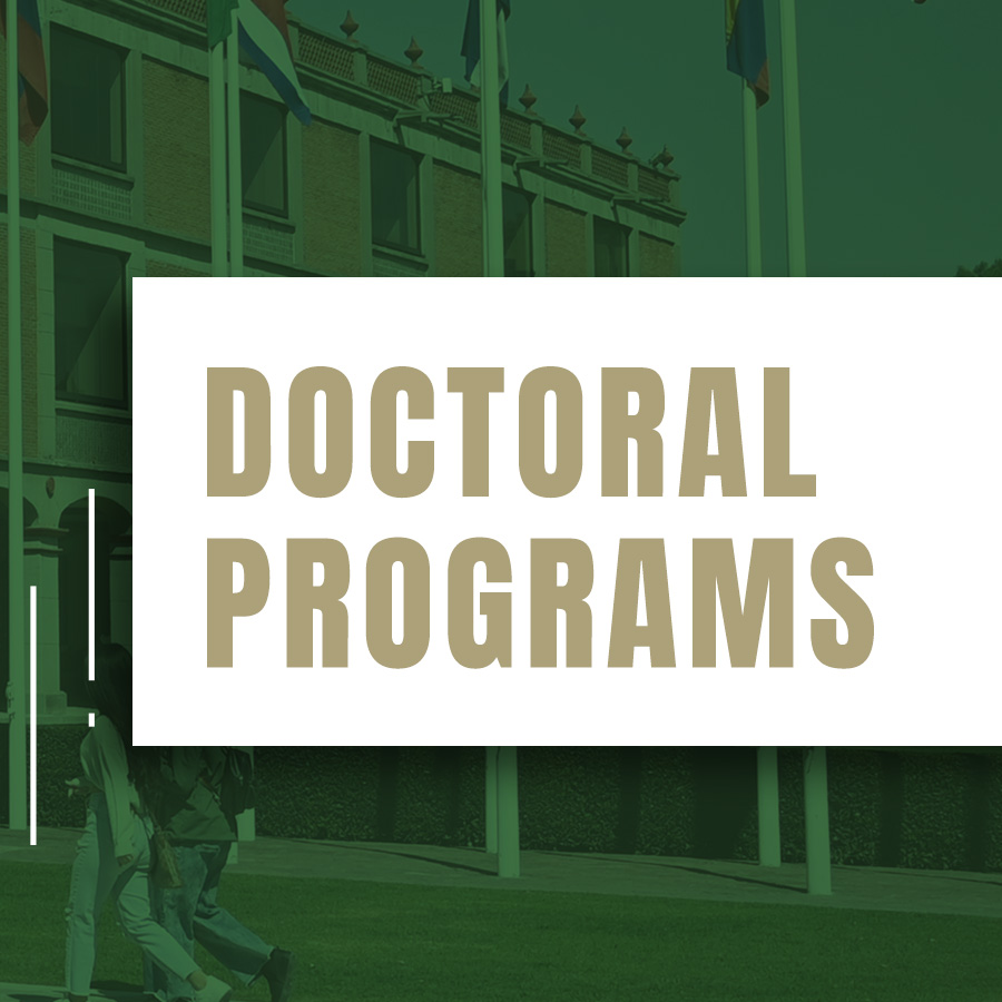 Doctoral UDLAP