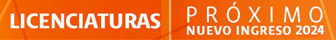 Licenciaturas