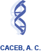 CACEB