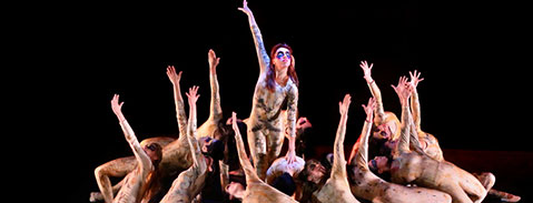 Imagen Acreditaciones