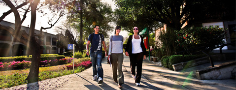 Imagen Plan de Estudios