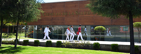 Imagen Campo Laboral