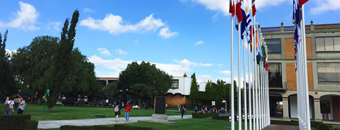 Imagen Campo Laboral