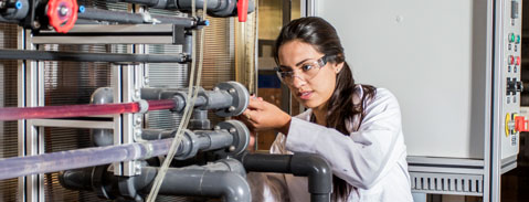 Imagen Campo Laboral