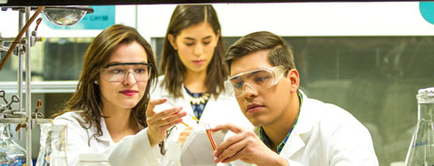 Imagen Campo Laboral