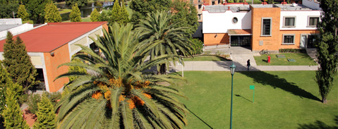 Imagen Campo Laboral