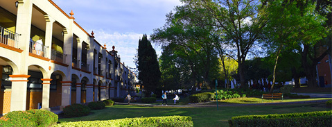 Imagen Plan de Estudios