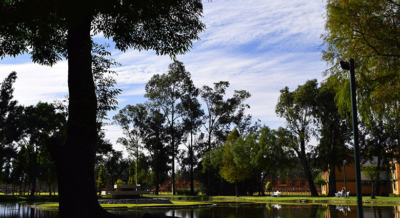 Imagenenes slider de cada licenciatura