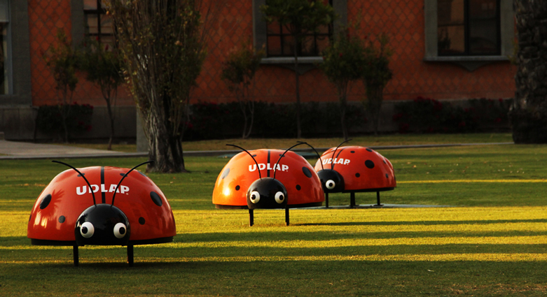 Imagenenes slider de cada licenciatura