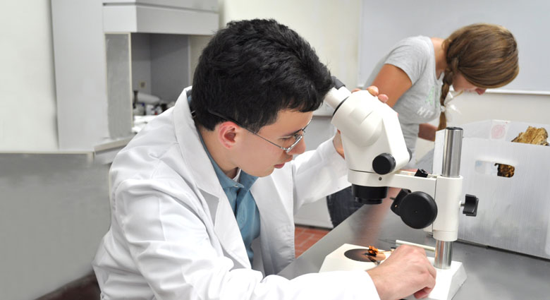 Imagenenes slider de cada licenciatura