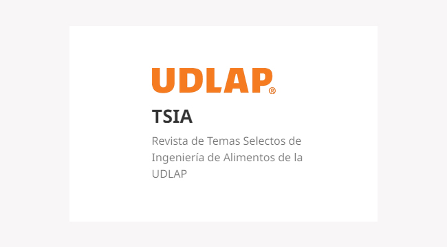 Publicaciones TSIA UDLAP
