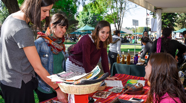 Servicio Social